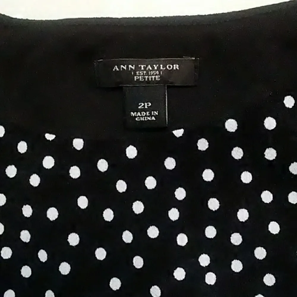 Ann Taylor Dress - Image 2