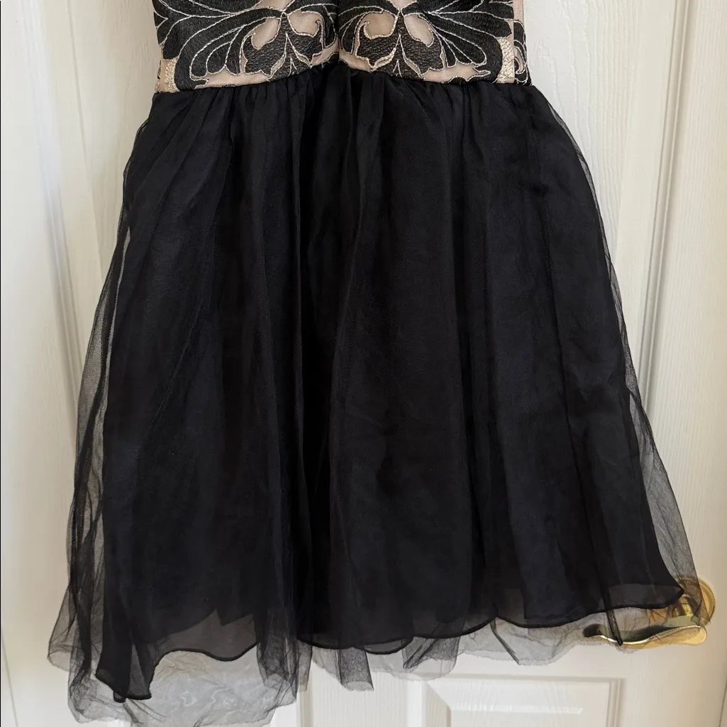 Hailey, Adrianna Papell dress - Image 5