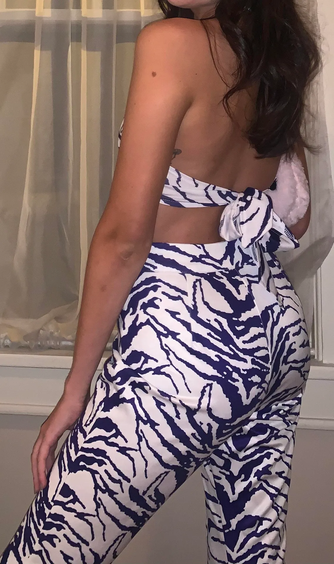 The Great Zebra Set! - Image 3