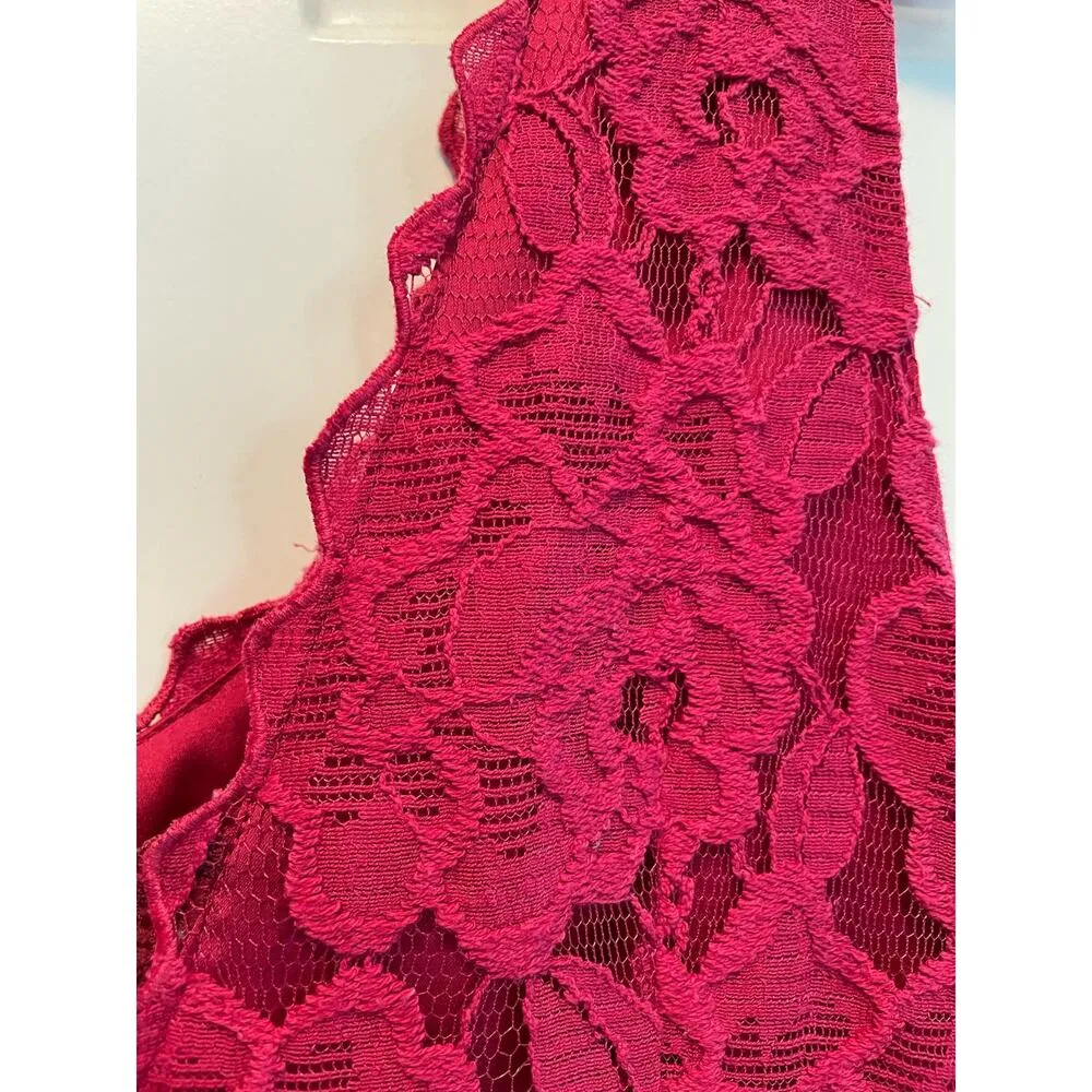 Anthropologie Moulinette Soeurs Carmindy Dress Pink Burgundy Lace 4 New - Image 11