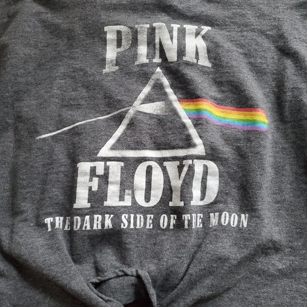 Pink Floyd cropped sweatshirt size large fits more like medium imo - Image 2