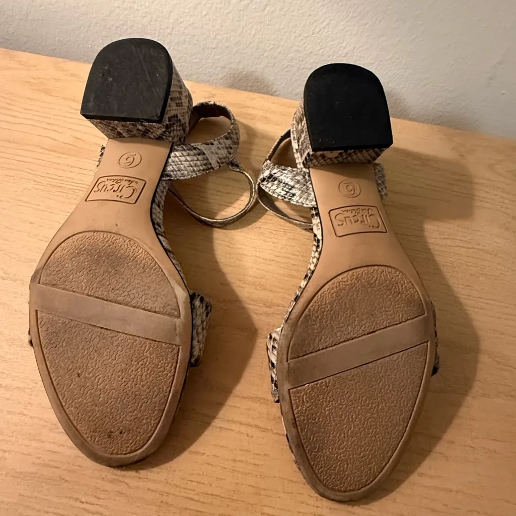 Circus by Sam Edelman Snakeskin Sandals - Image 10