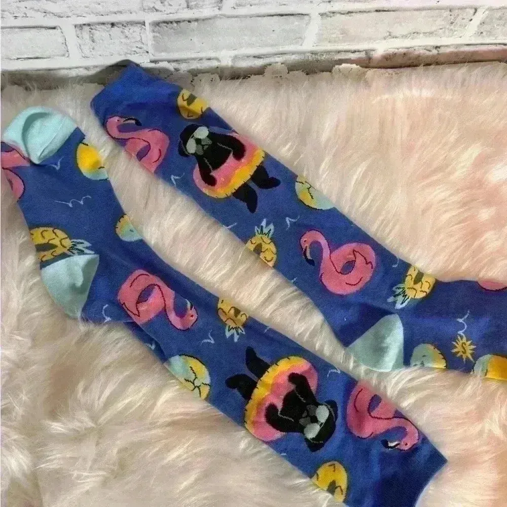 Dog socks floating in pool with floatie pink‎ flamingo float Blue - Image 2