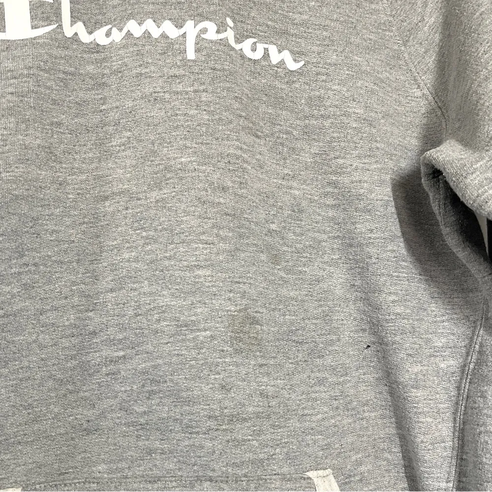 Champion Gray Hoodie Sweater - Image 4