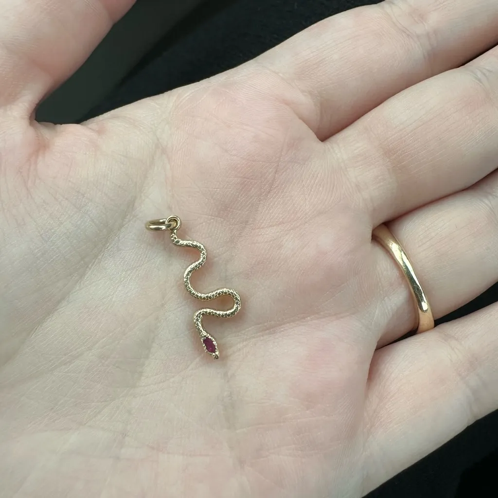 Catbird Talon Ruby Snake Charm 14k Gold - Image 4