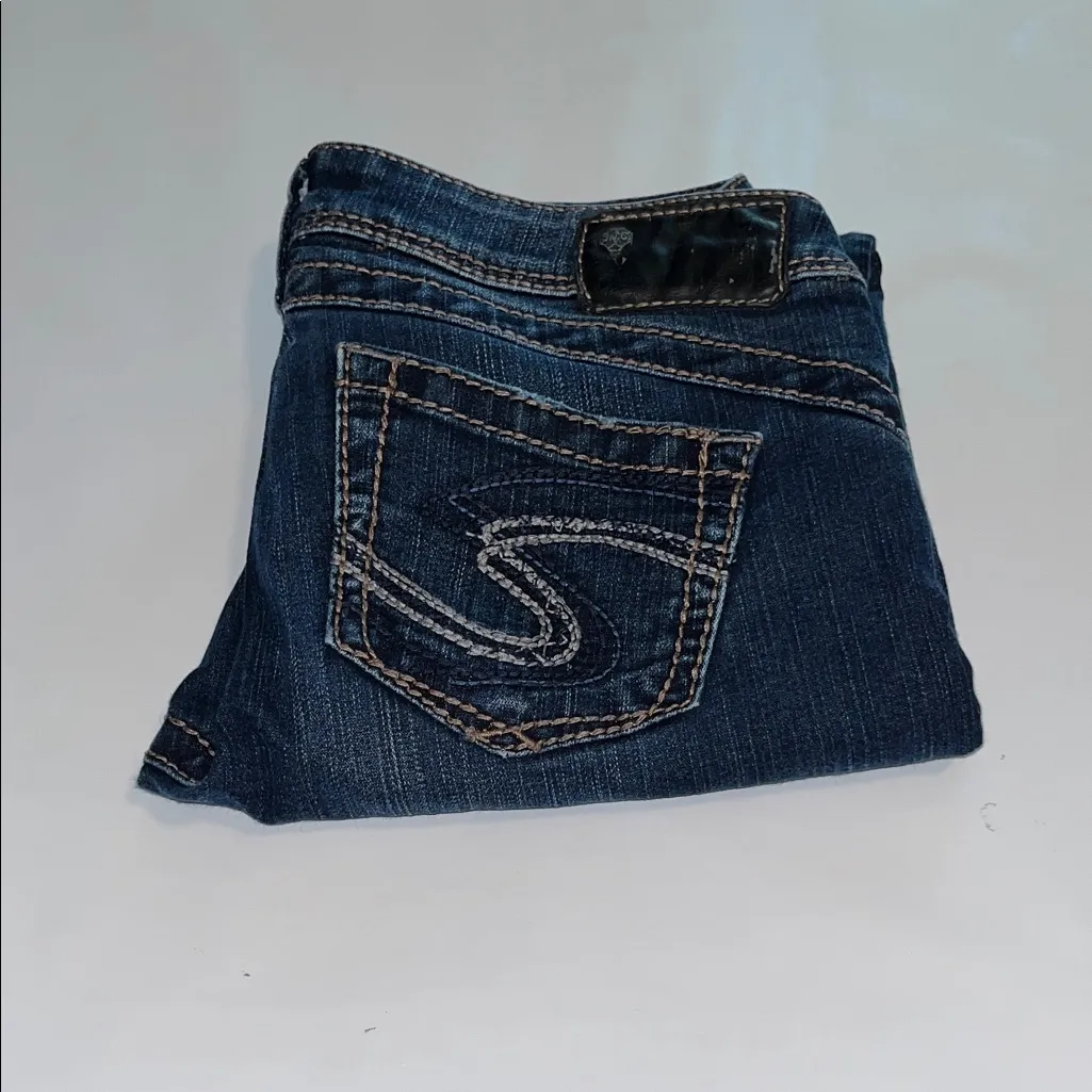 Silver Jeans Camden Rose Ankle Low Rise Size 28 - Image 3