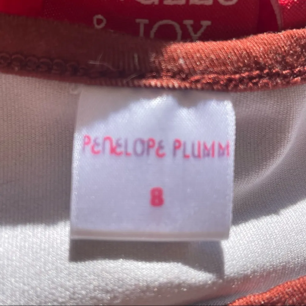 Penelope Plumm turkey Thanksgiving dress Size undefined - Image 3