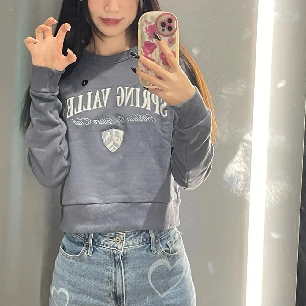 Spring Valley Gray Cropped Sweatshirt - Image 3