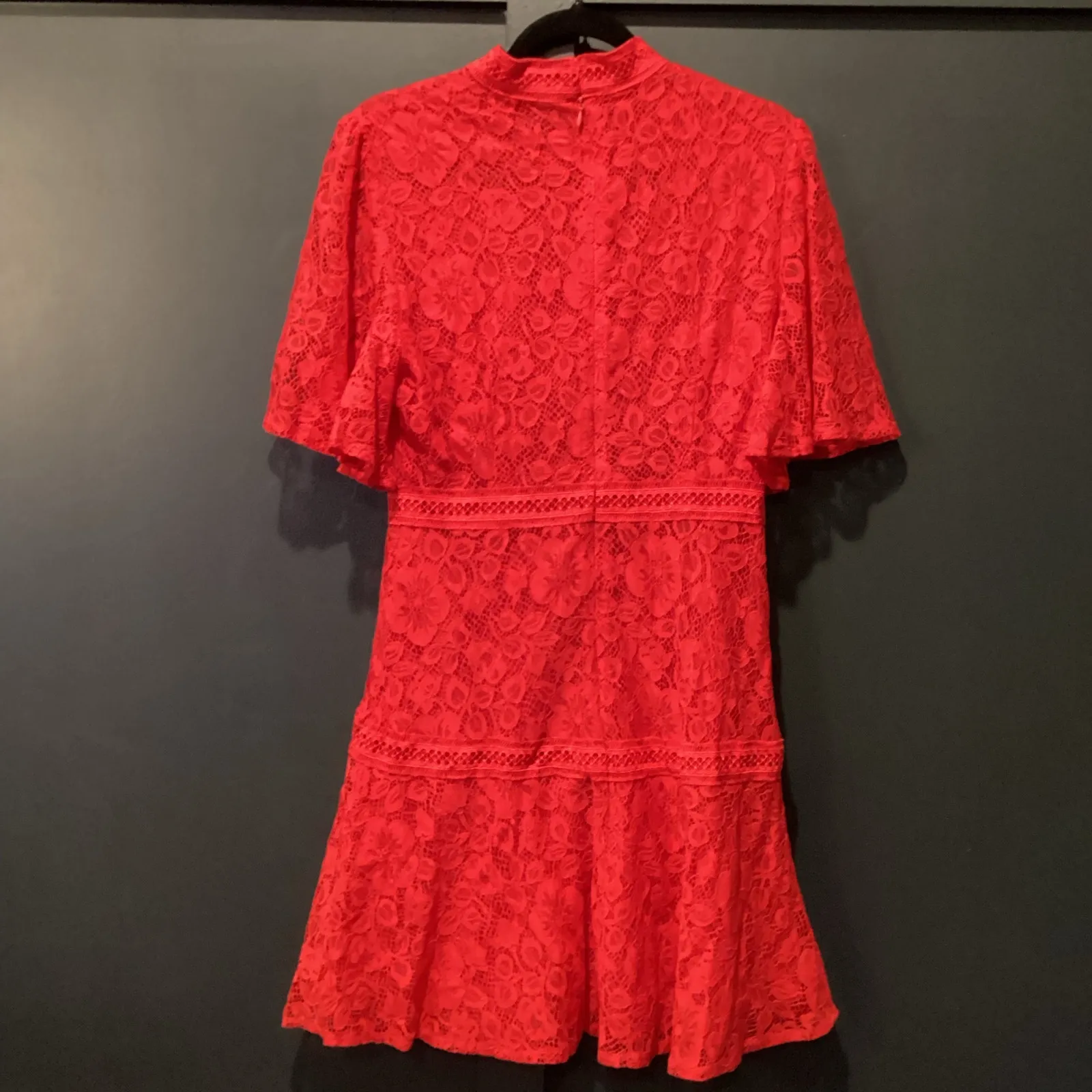 Strut & Bolt floral Lace Lined Mock Neck Short Sleeve flare Mini Dress Red Large - Image 2