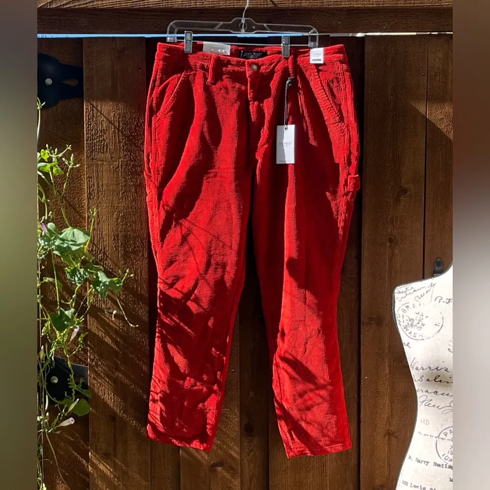 Judy Blue Corduroy Carpenter Stretch Slim Fit High Waist Pants Rust Size 31 NWT - Image 2