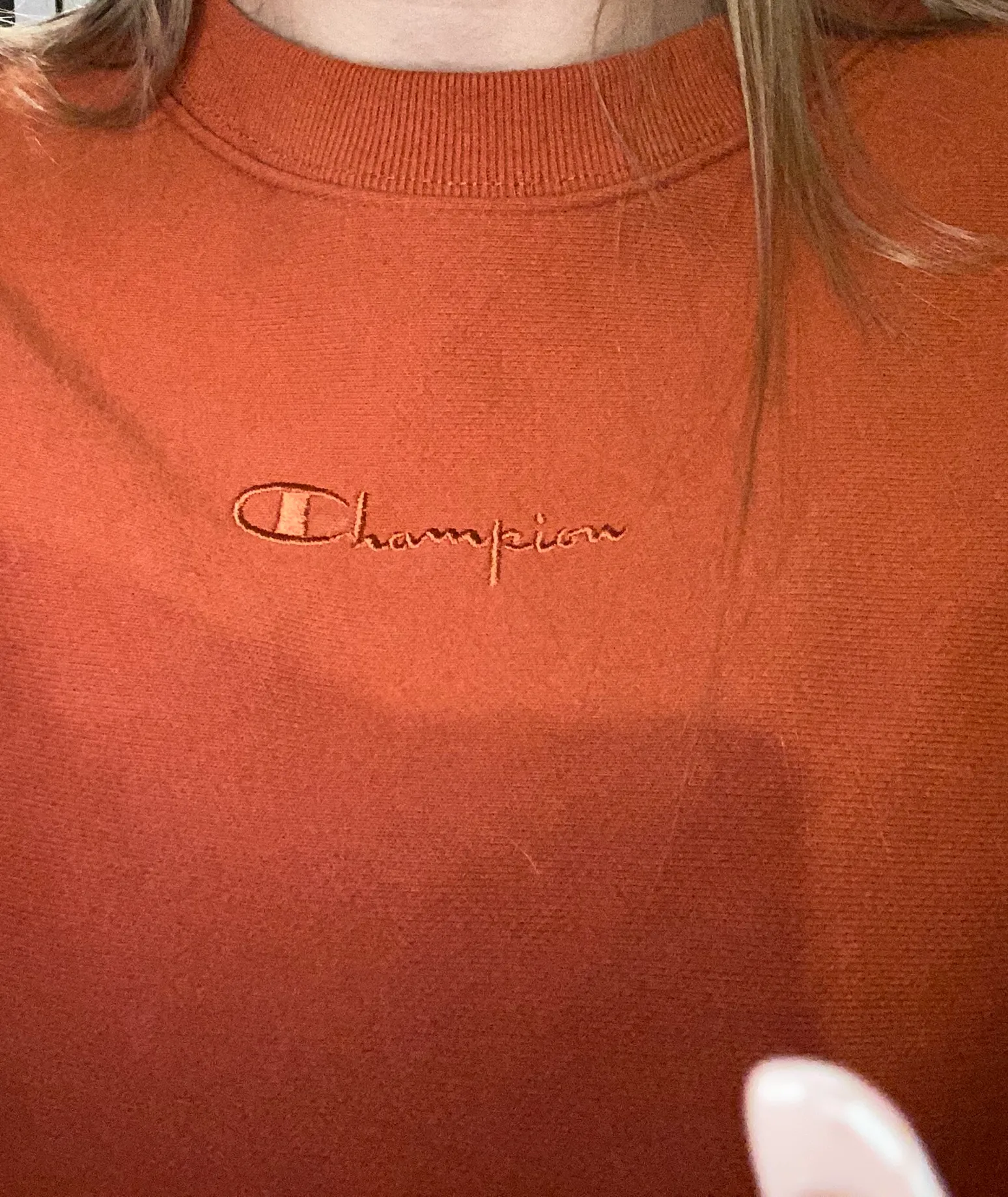 Champion Crewneck - Image 2