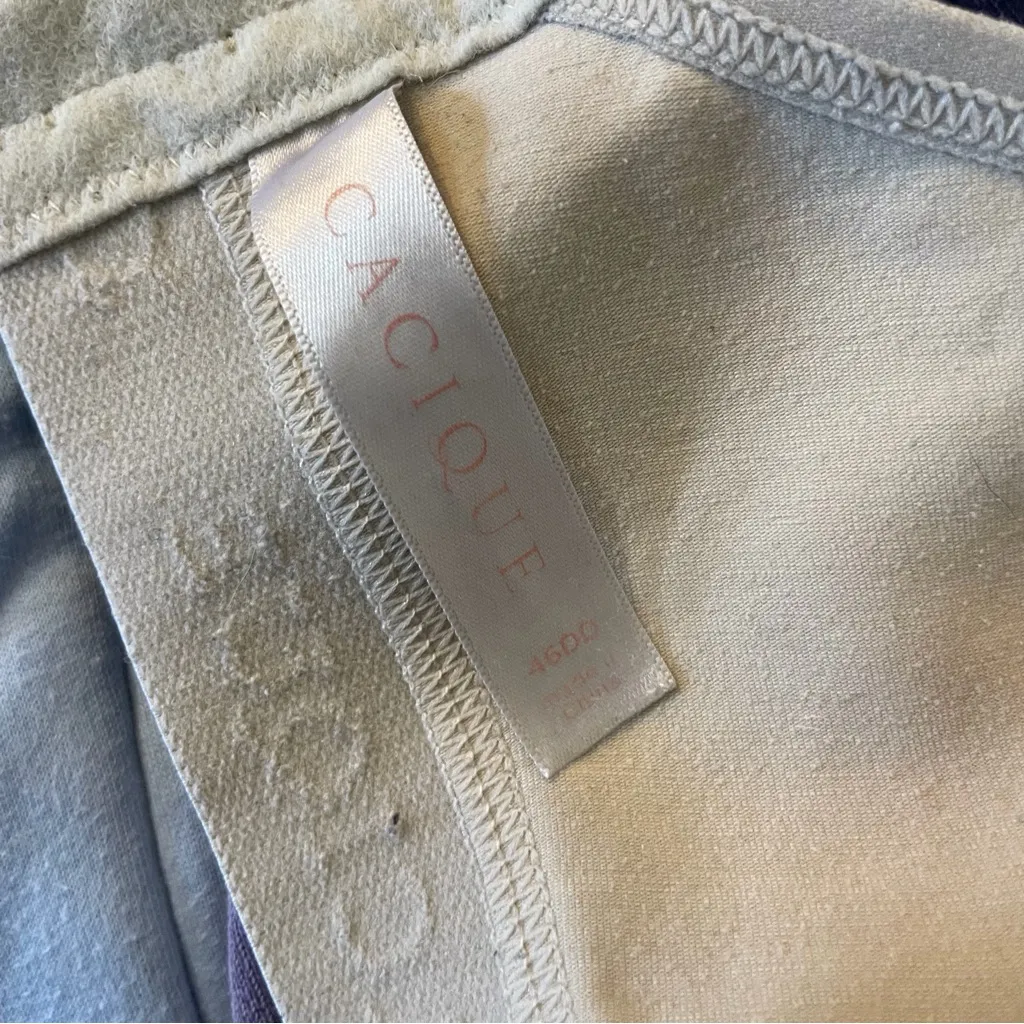 Cacique Bra Bundle 46DD - Image 4