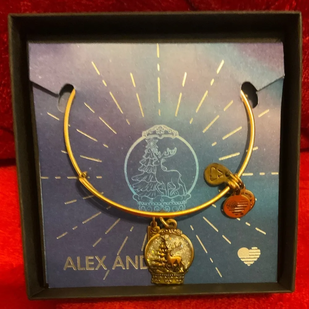 A Rare New Alex And Ani 2018 Snow globe Bracelet - Image 4