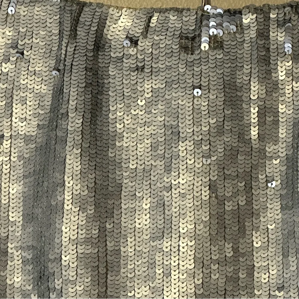 Jaloux Ombré Sequin Mini Skirt Hand Embellished‎ Party New Years Disco NWT Large Silver - Image 5