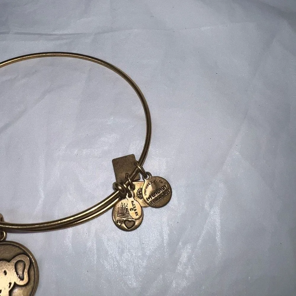 Alex and Ani Elephant Charm Bangle Bracelet Gold‎ Tone RARE RETIRED - Image 2
