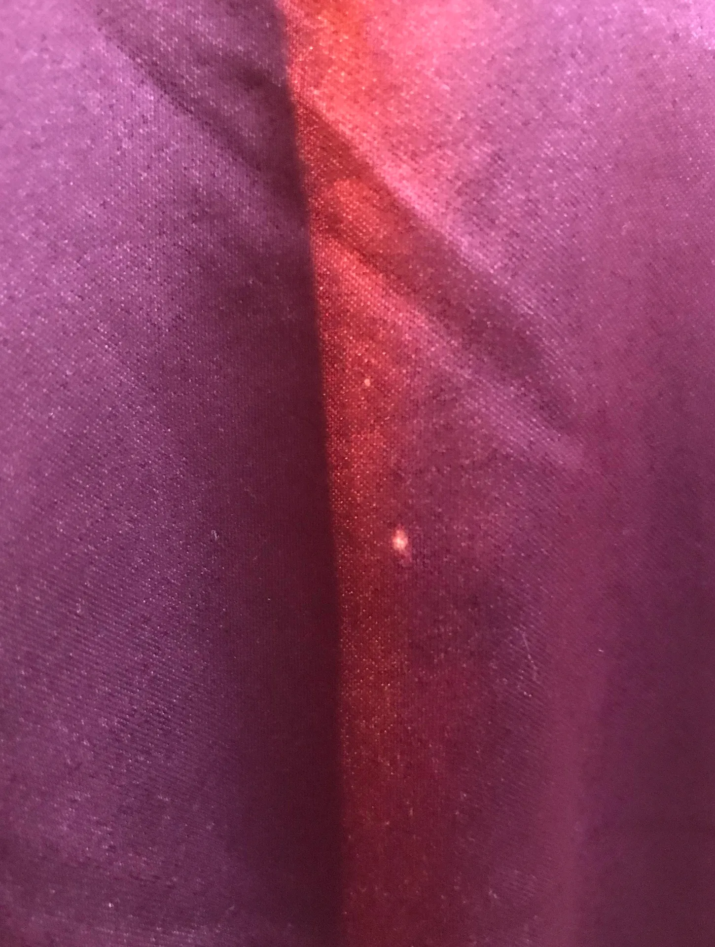 Ambiance Apparel Cranberry Satin Bomber  - Image 5