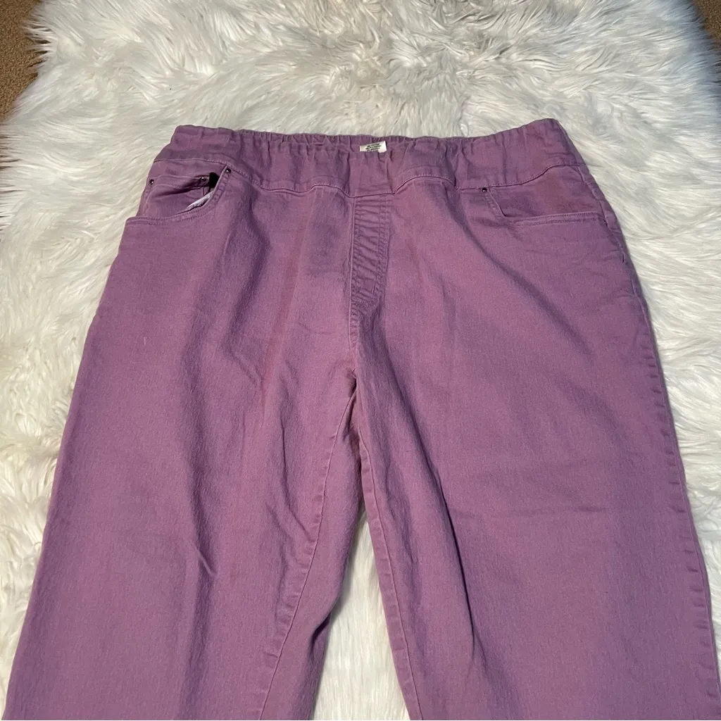 Vintage Blair Pull On Jegging Pant Purple 22WM - Image 2