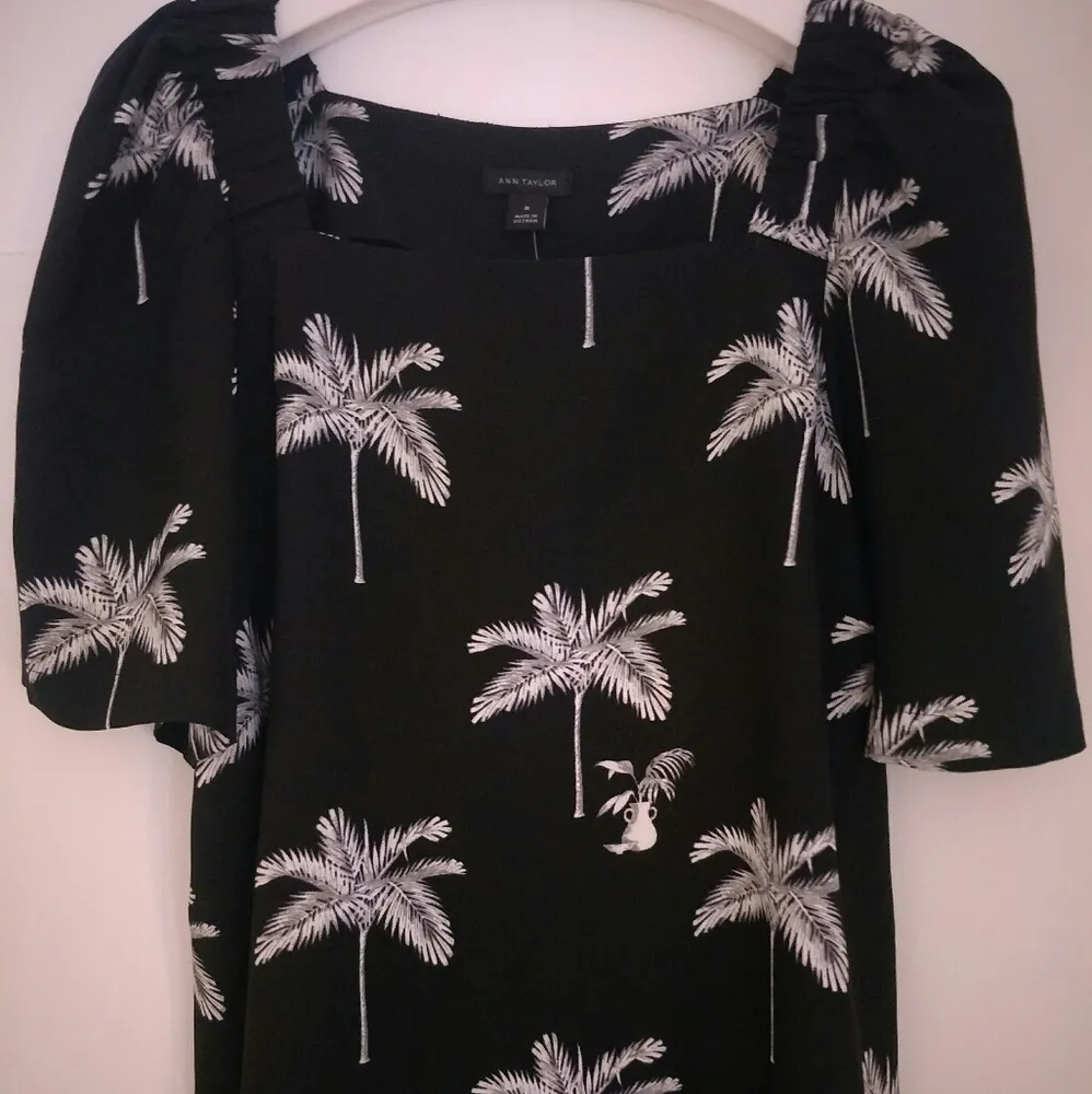 New Plam Tree Top Anne Talor - Image 2