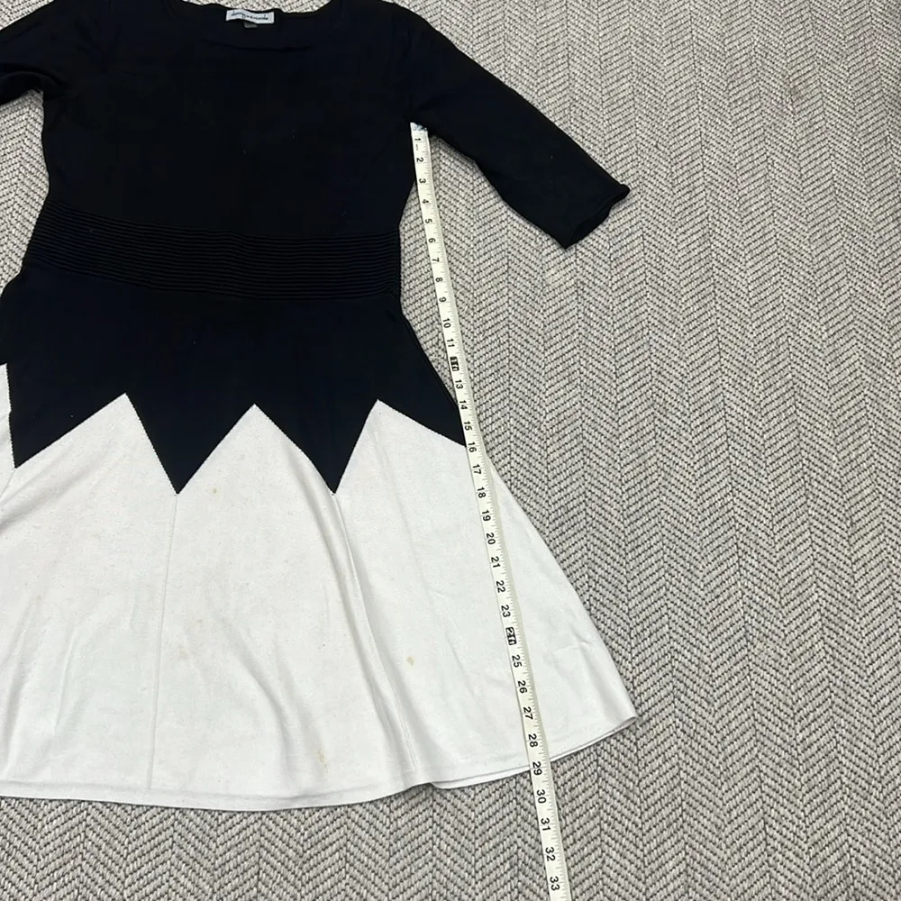 Danny and nicole winter dress - Image 5