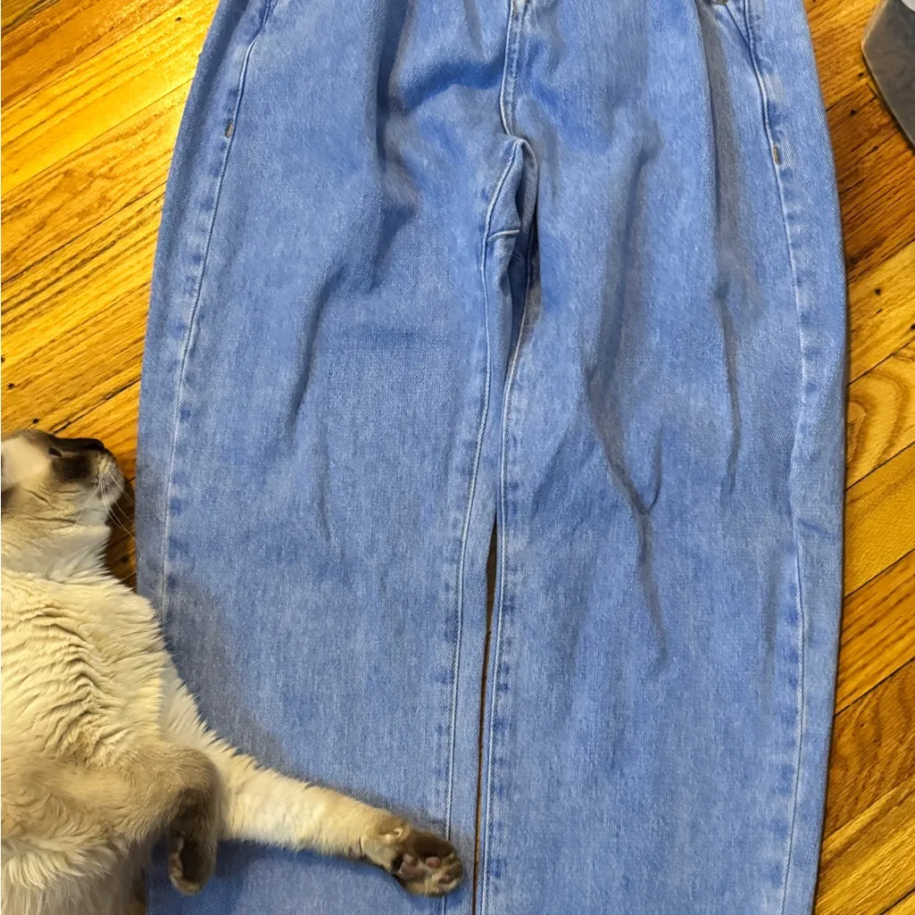 Zara Light Blue cinch waist. - Image 2