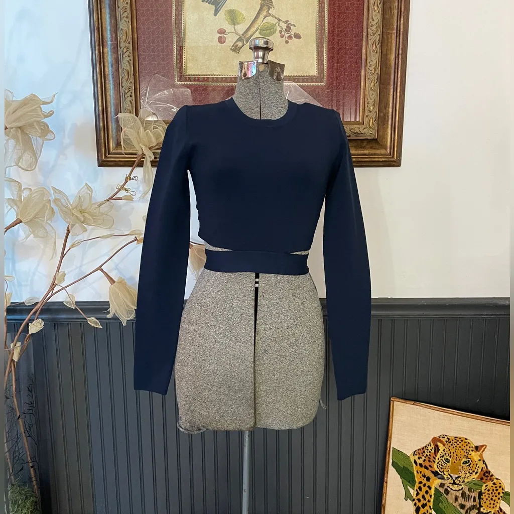 NWT Aritzia Ten by Babaton Retrospect Sweater Strip Cut Out Cropped Top Sz M 💛🎀 - Image 4