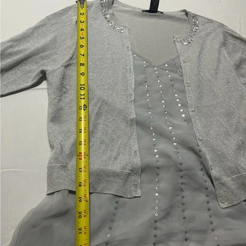 August Silk Shimmering Silver Knit Top - Image 4