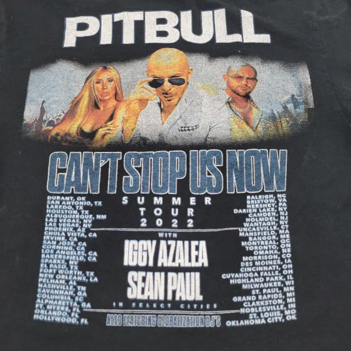 Pitbull Shirt Size Small Can't Stop Us Now Summer Your 2022 Graphic Print Shirt Unisex T-shirt - Image 7