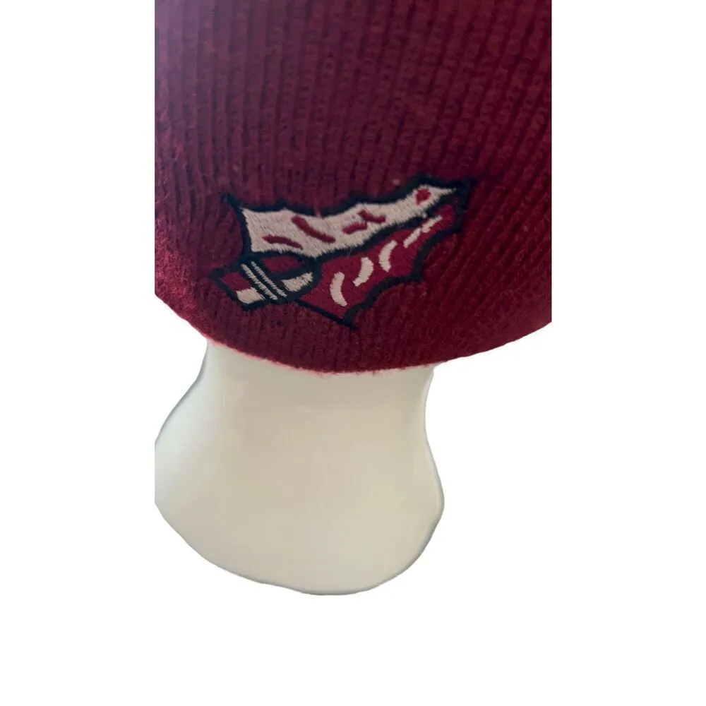 Florida State University FSU Logo embroidered beanie hat Blue - Image 12