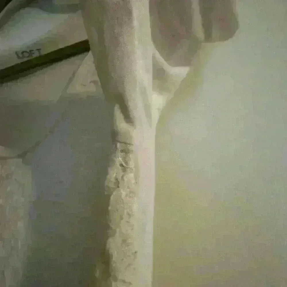 Loft lace basic ivory blouse. Size: S. Boatneck collar Closet staple - Image 6