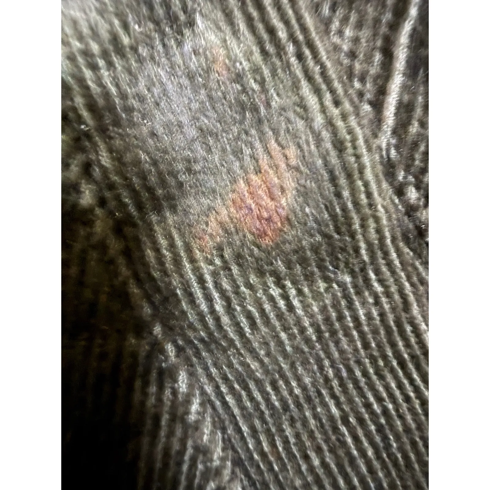 NECA Twilight New Moon Bella Swan Replica Hooded Field Jacket Sz Small Green - Image 8