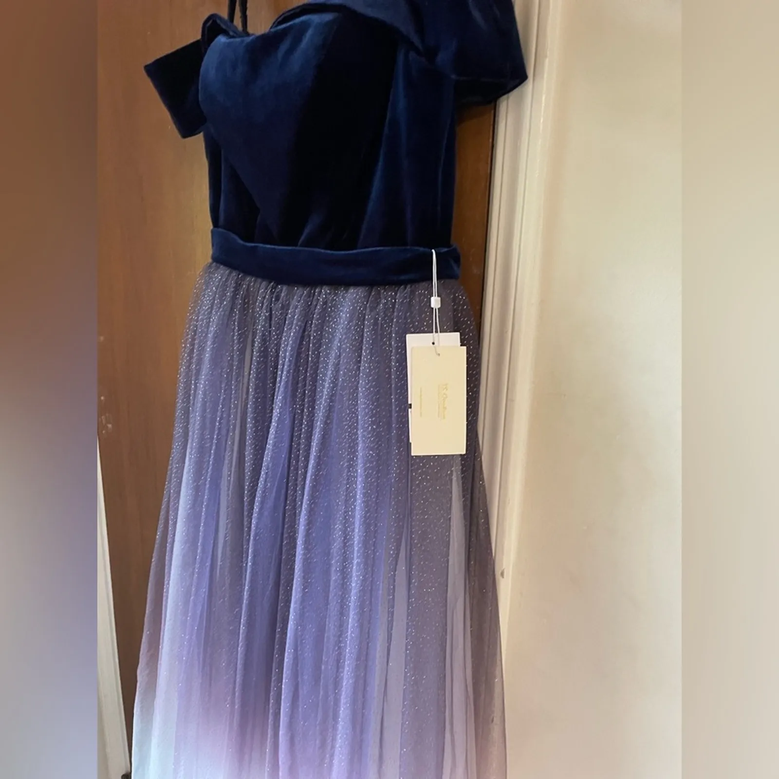 Fairy starfall ball velvet ombré tulle ballgown Blue - Image 5