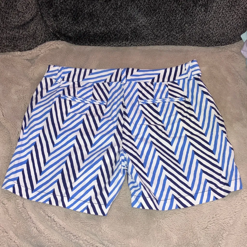 LOFT Patterned Shorts, Size 10 - Image 3