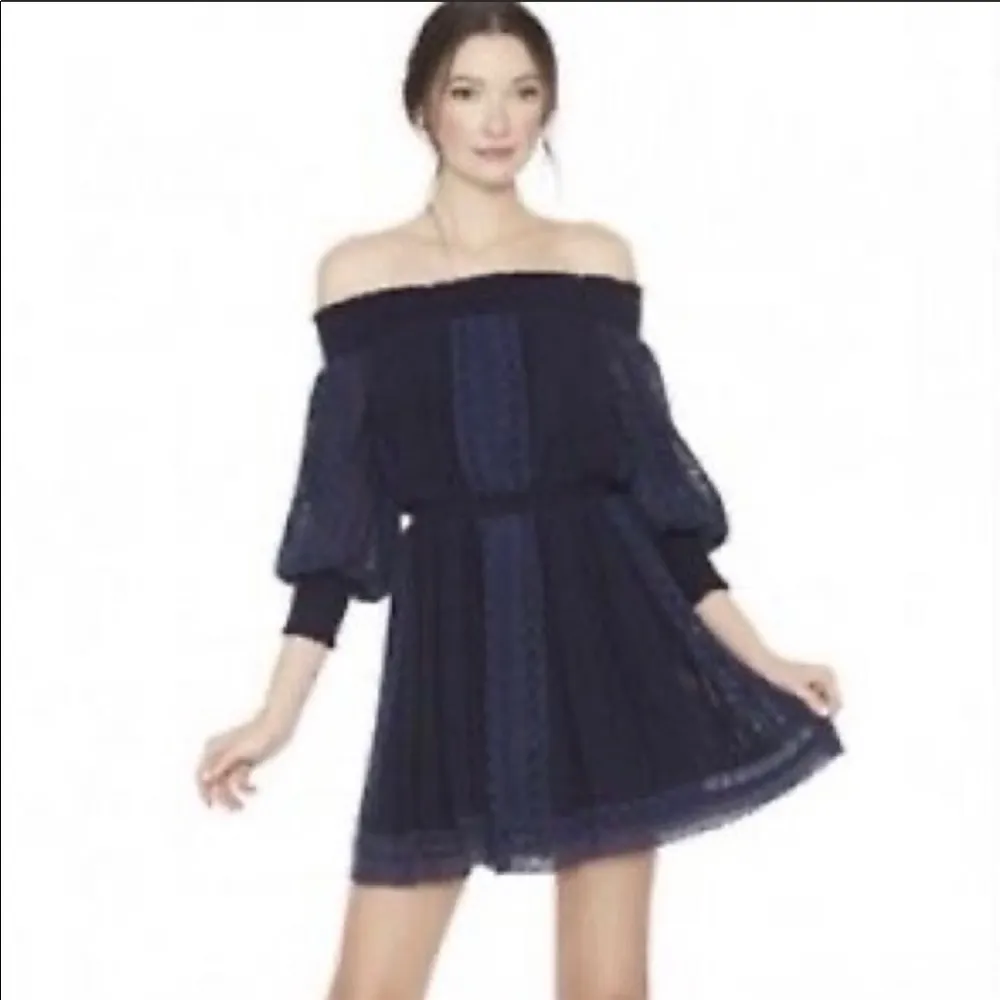 EUC Alice Olivia Pammy eyelet embroidered dress - Image 4