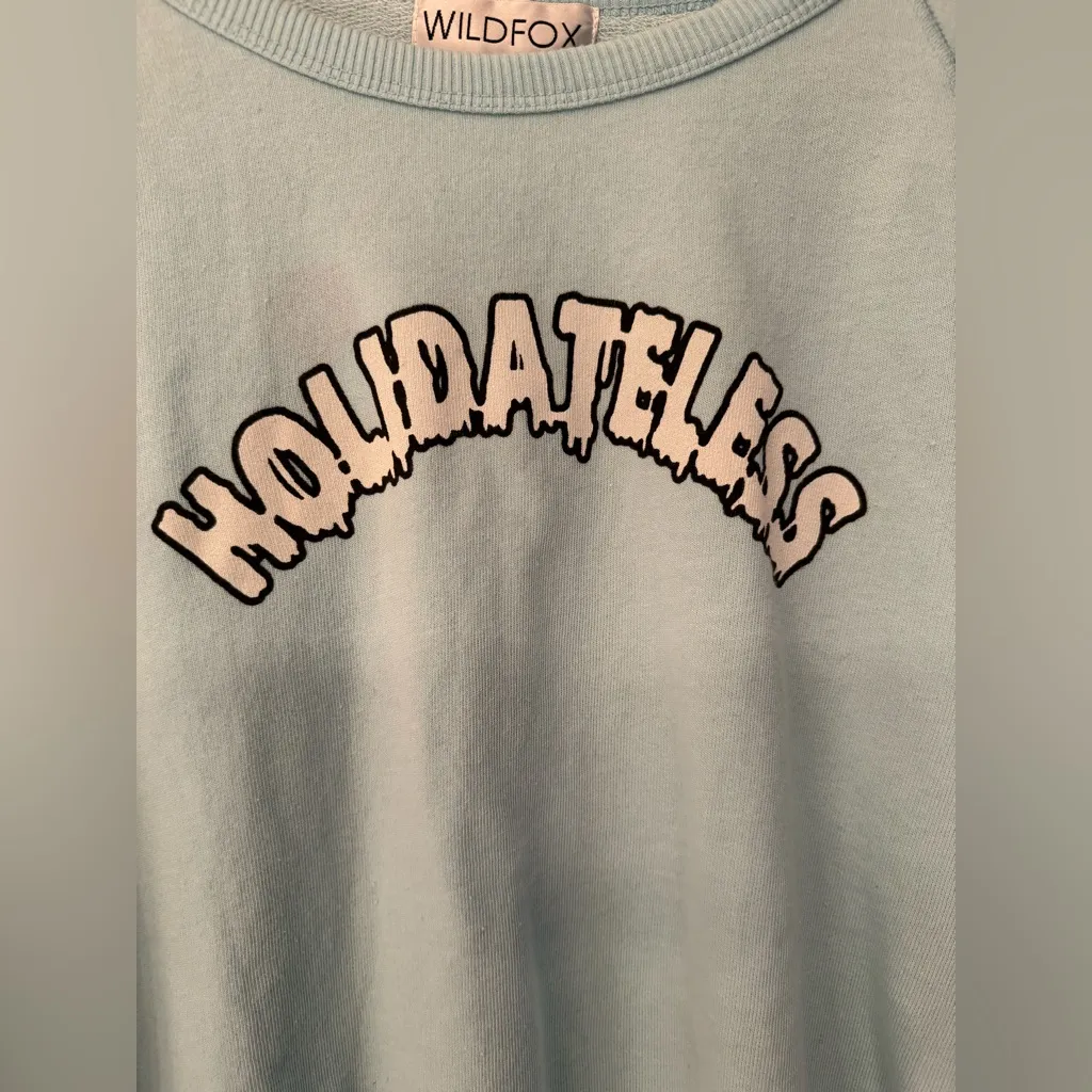 Wildfox Holidateless Women’s Sky Blue Crop Top Size Large - Image 8
