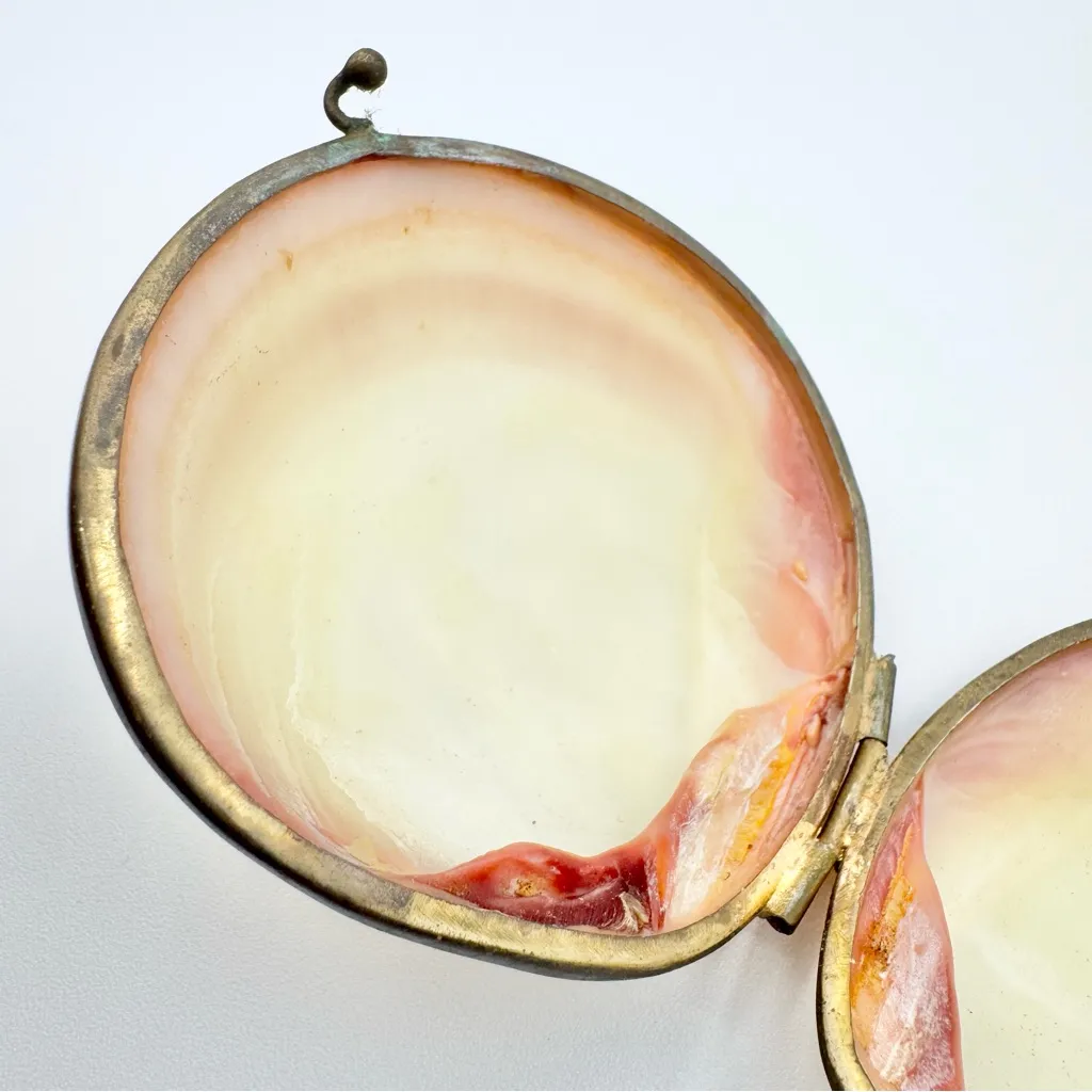 Vintage Natural Clamshell Kiss - Image 6