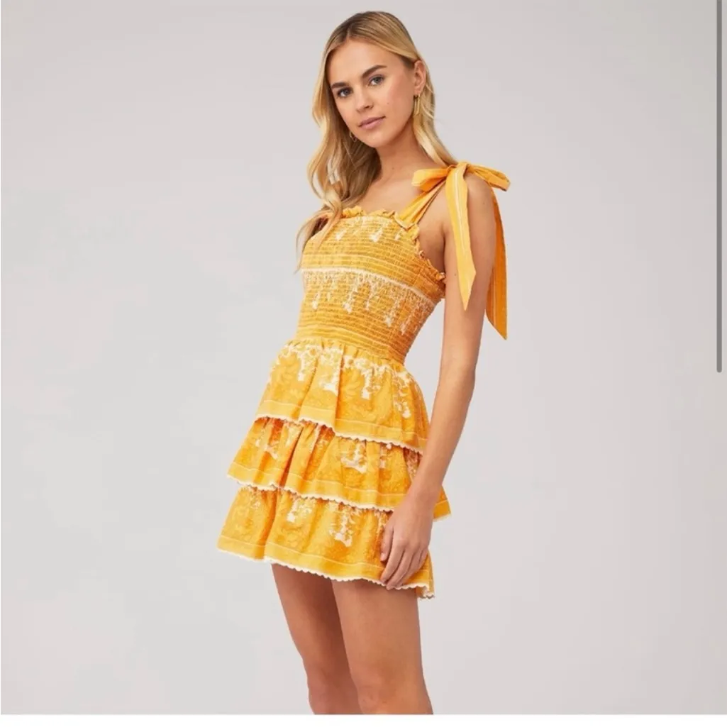 Cleobella Eliana Mini Dress Yellow Tiered NWT Size Large - Image 2