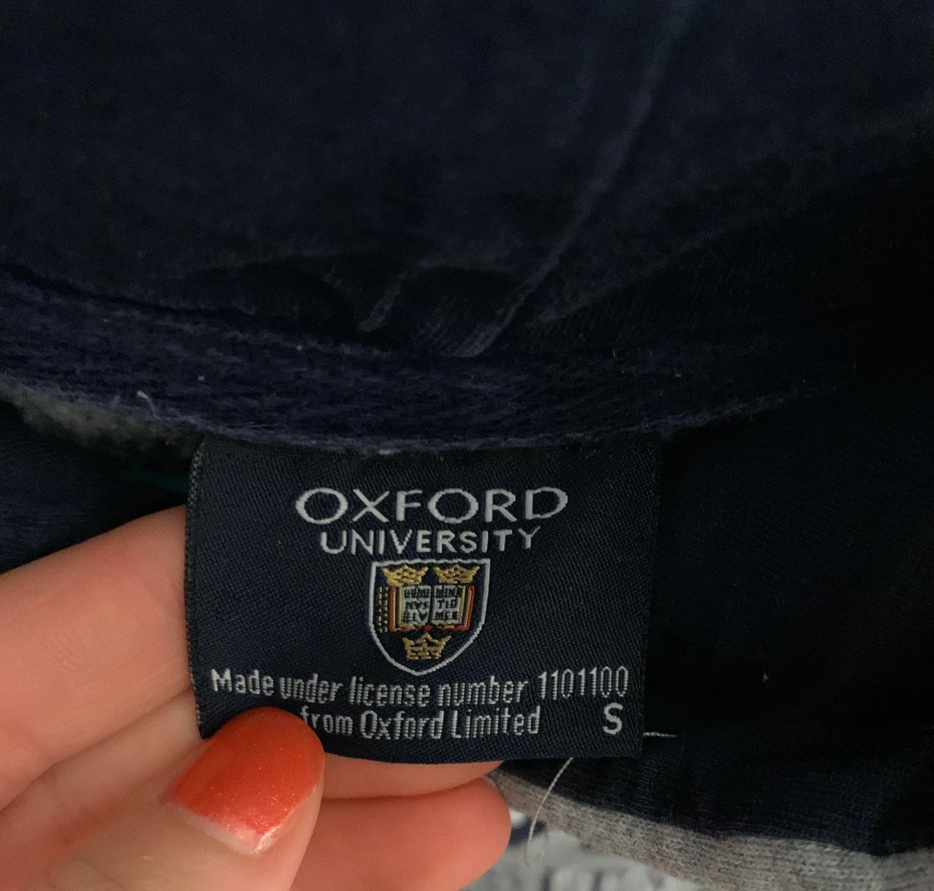 Oxford University Hoodie Gray - Image 2