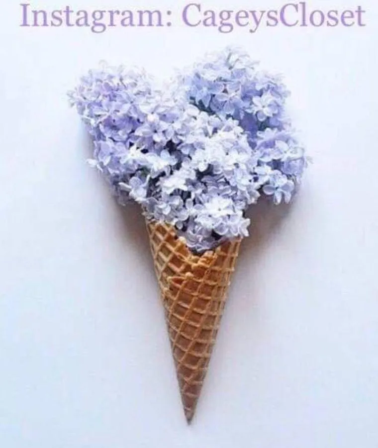 Catherine Malandrino Stella Shirtdress M NWT High Low Collar Button Tunic Pink - Image 8