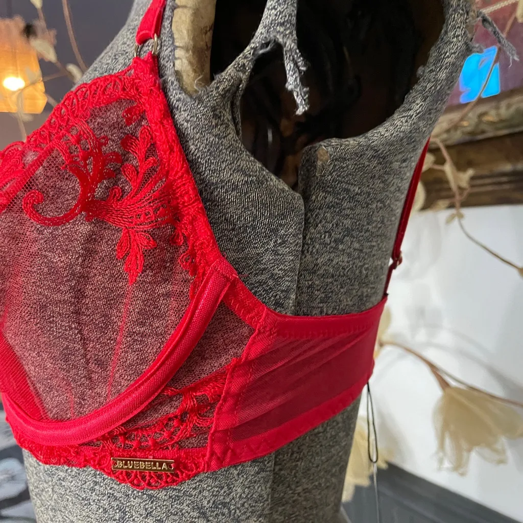 NWT Bluebella Marseille Plunge Underwired Embroidered Red Mesh Bra Sz 30DDD 💚🎀 - Image 3