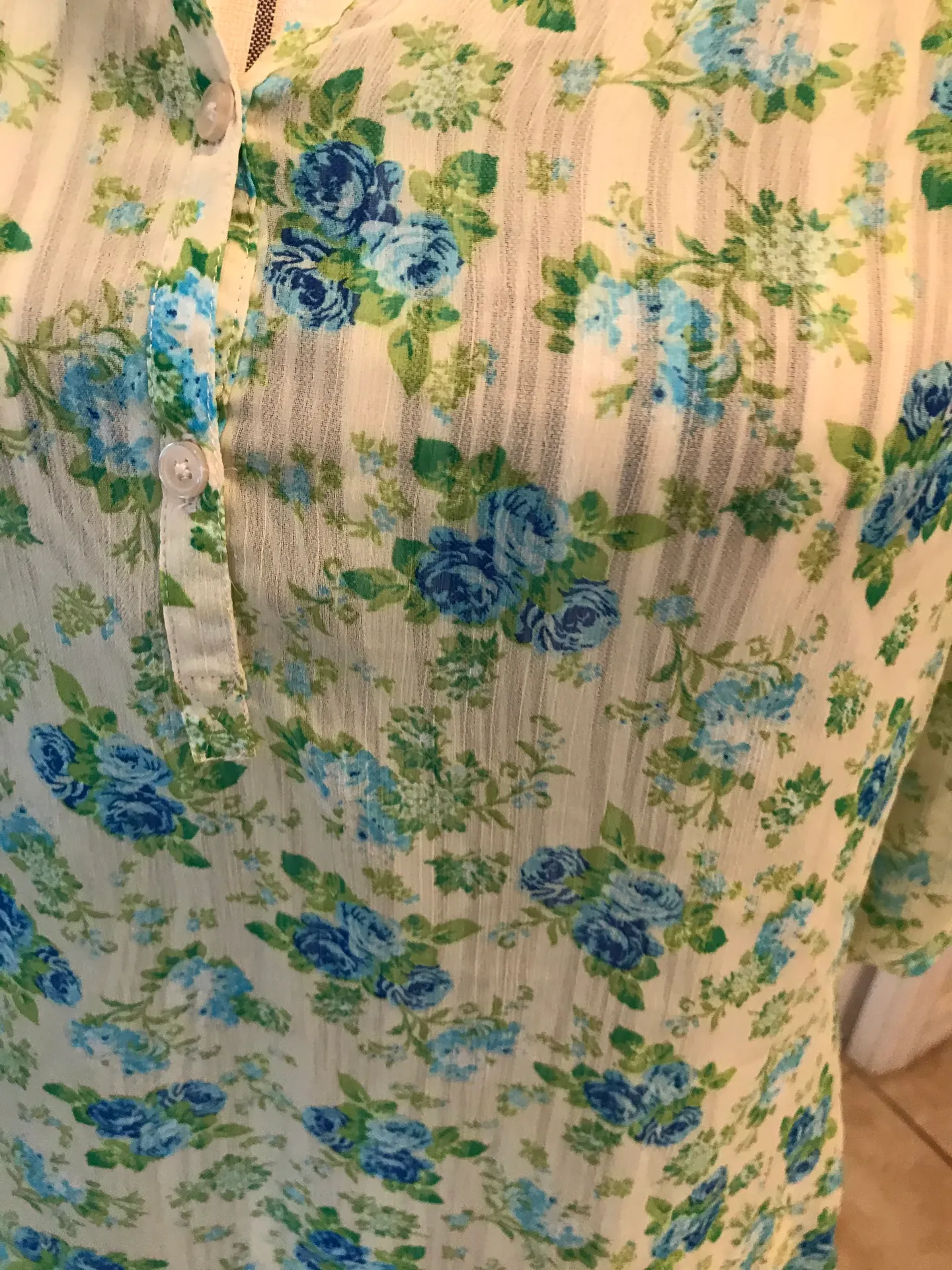 Bobbie  Blue Green Sheer top - Image 3