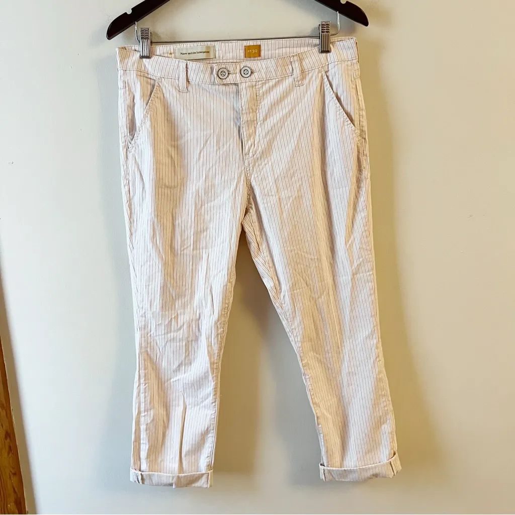 Anthropologie Pilcro and the Letterpress Blush Striped Cropped Pant Size 30 - Image 5