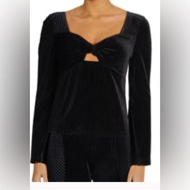 Wildfox Black Velvet belle sleeves Long Sleeve grunge fairy core - Image 2