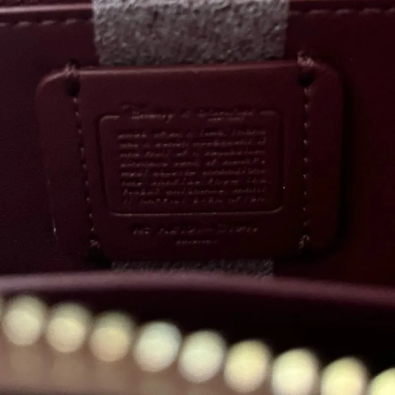 Disney X Coach Accordion Zip Wallet In Signature Canvas With Patches Cinderella - Image 10