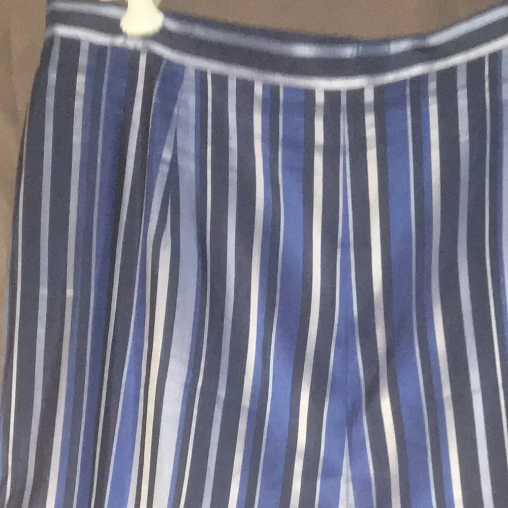 Blue Striped Silk Pants - Image 3