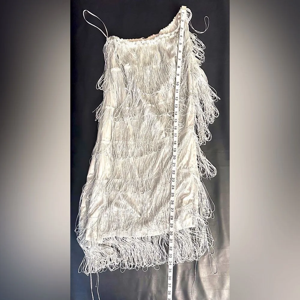 Shimmery Silver Flapper 20's Vibe Costume - Image 5