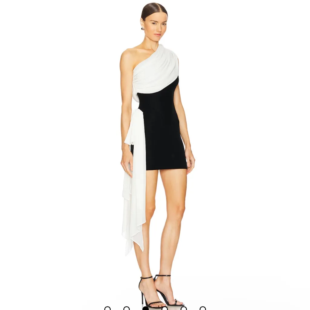 L'Academie by Marianna Jovie Mini Dress in Black & Ivory - Image 3