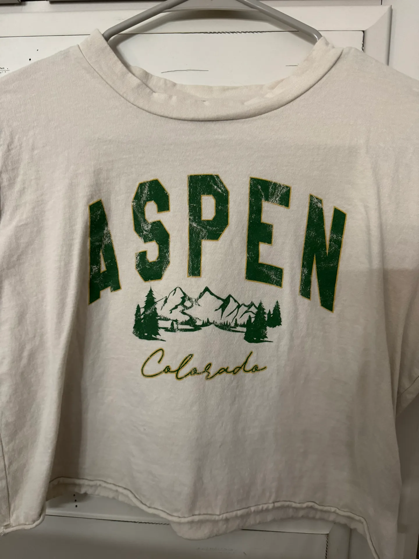 Originality Aspen Crop Top - Image 2