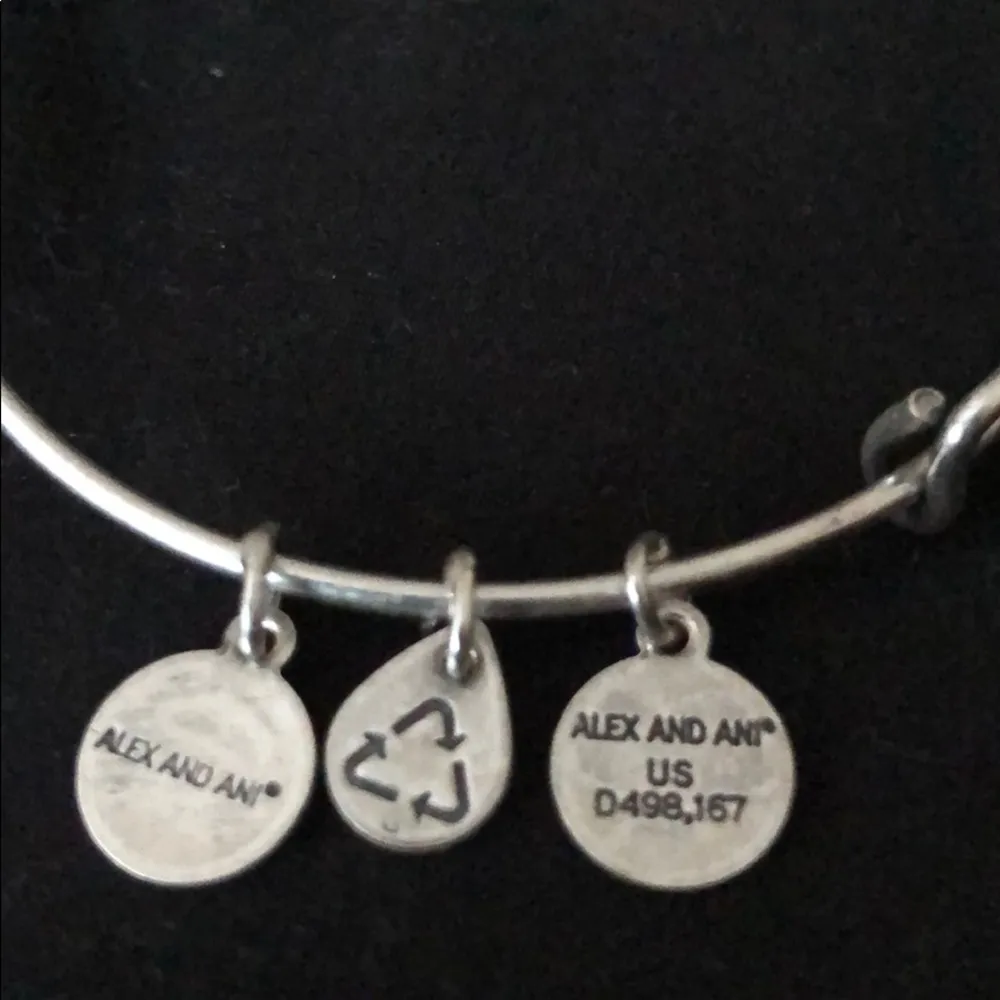 Pre-owned Alex and Ani Path of Life Charm Bracelet - Image 5