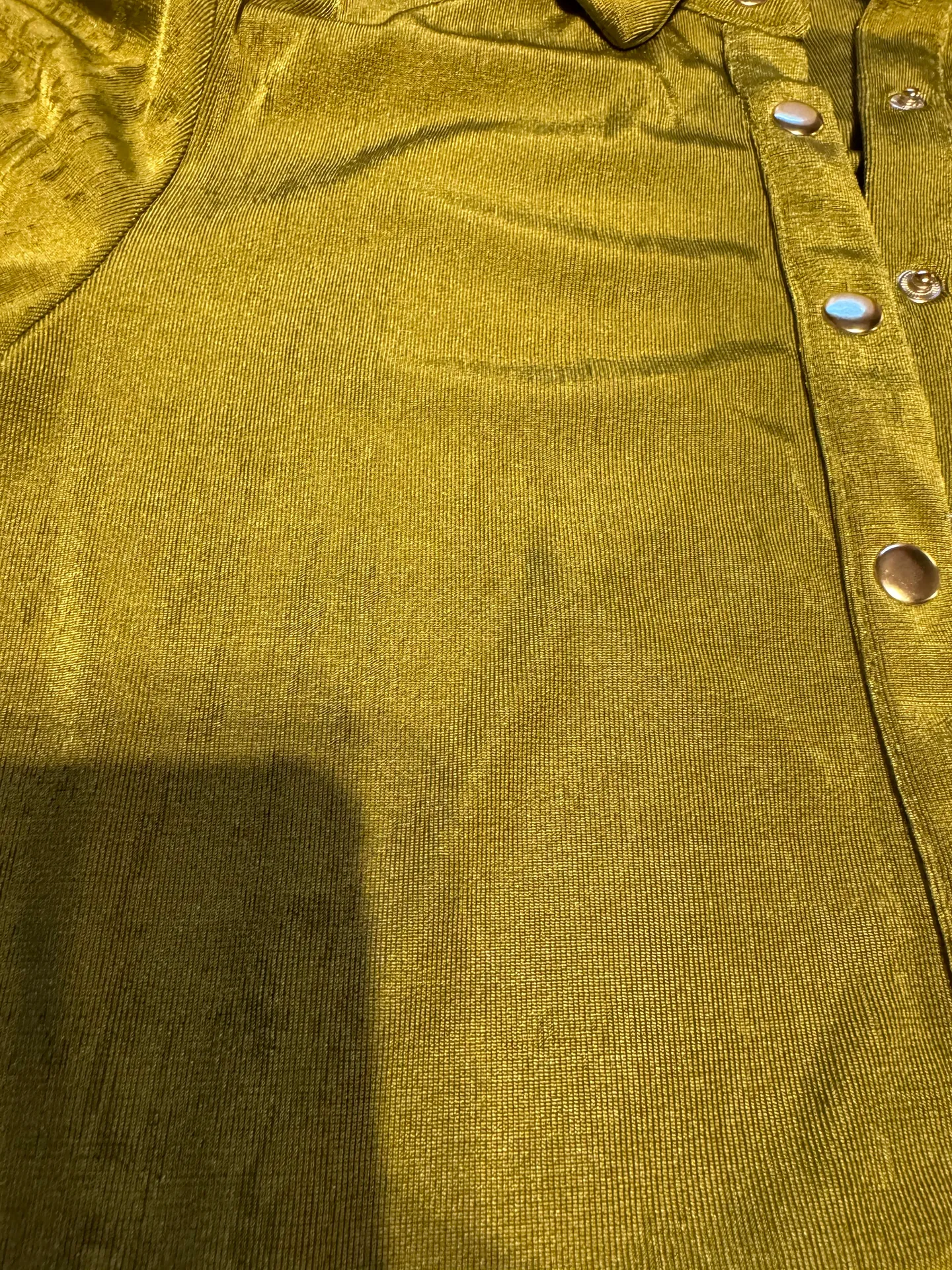Green Velvet Button Up - Image 3