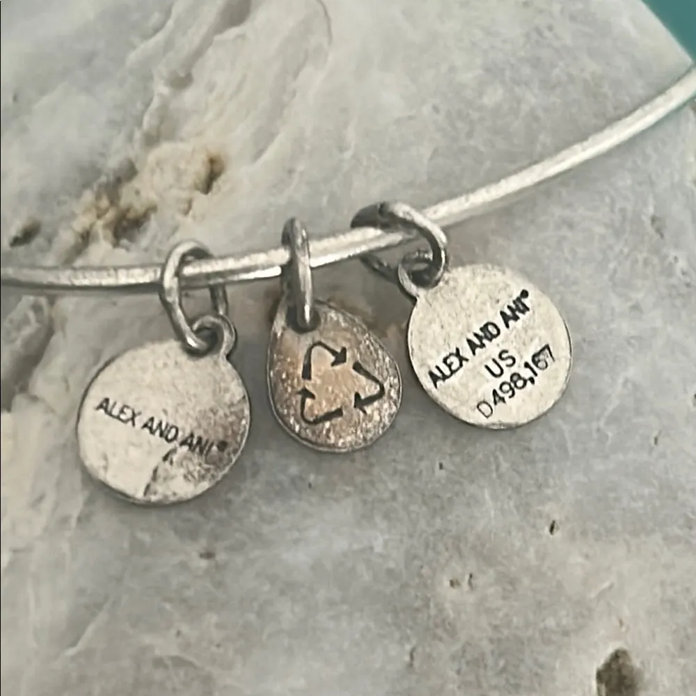 Alex and Ani Tree of Life Expandable Rafaelian Silver Tone Bangle Bracelet - Image 5